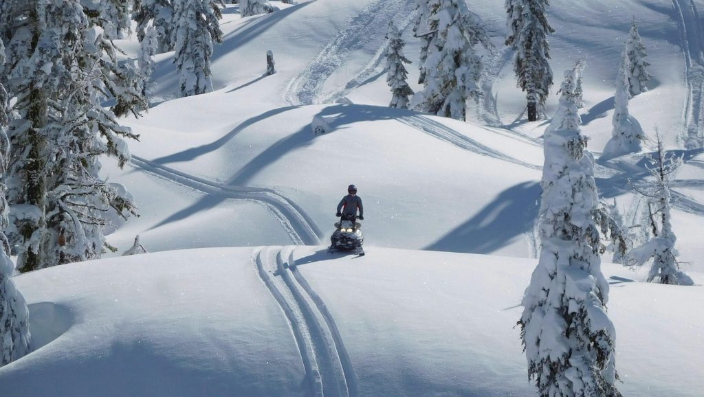 Illustrasjonsfoto av snøskuter som kommer kjørende mot betrakteren langs et spor i et snødekt landskap med masse snødekte bartrær.